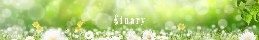 Sinary：環境革命のシナリー：シナリー株式会社